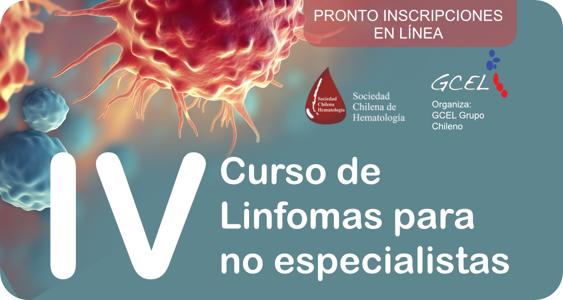 Imagen de referencia - IV Curso de Linfomas para no especialistas
